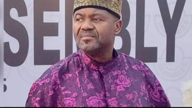 Photo of 2027: Ohanaeze Ndigbo never endorsed Tinubu — PG Mbata