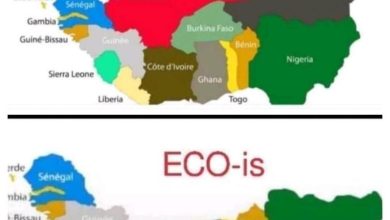 Photo of Before it becomes ECO-WAS, By Chidi Anselm Odinkalu