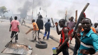 Photo of Two students injured in Osun campus cult clash, police arrest six