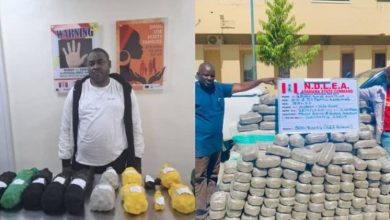 Photo of Four Nigerian drug kingpins jailed for 95 years, forfeits exotic cars, others