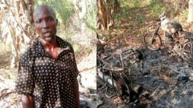 Photo of BREAKING: Over 30 reportedly shot, others displaced in fresh Osun communal clash