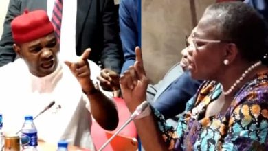 Photo of I don’t regret trading insults with Ezekwesili — Senator Nwoebonyi