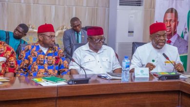 Photo of Gov Nwifuru to SEDC: Drop frivolities, prioritize overall development of South-East 