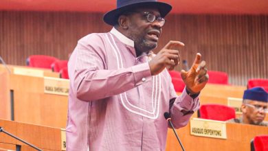 Photo of Sen Seriake Dickson calls for end to federal character breaches