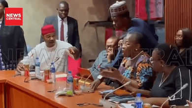 Photo of Natasha: ‘You’re a fool, you’re a hooligan,’ Senator, Ezekwesili trade insults at hearing