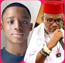Photo of Nnamdi Kanu’s son triumphs as best student in Global Maths and Science competition 
