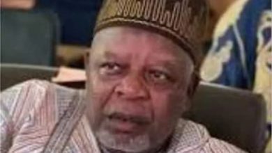 Photo of Controversy trails release of Gen. Tsiga