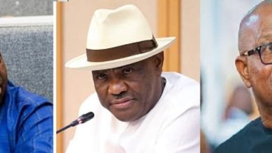 Photo of How Wike frustrated Peter Obi out of PDP — Dele Momodu