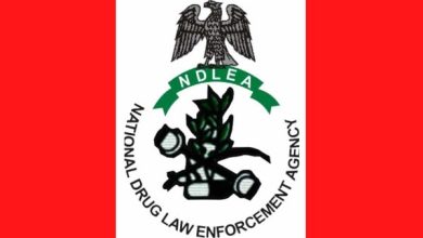 Photo of Don’t help anyone carry bags you didn’t pack, NDLEA warns travellers