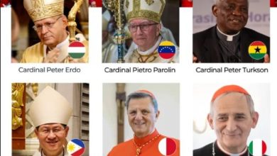 Photo of African Cardinal, 9 others who might succeed Pope Francis