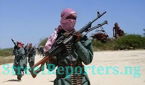 Photo of BREAKING: New terror group ‘Mahmuda’ emerges in North-Central, kills over 15 vigilantes, civilians