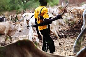 Photo of Uromi Killings Saga: Fear grips nine states as suspected herdsmen resume abductions, killings