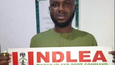 Photo of NDLEA nabs 22-year-old with illicit drugs for bandits tied to his private part