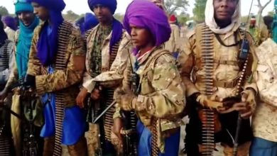 Photo of Lakurawa terrorists ambush security operatives in Niger, kill two