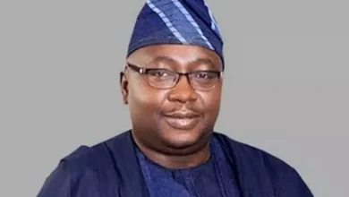 Photo of Nigeria needs $10bn yearly for 20 years to achieve stable electricity – Power Minister