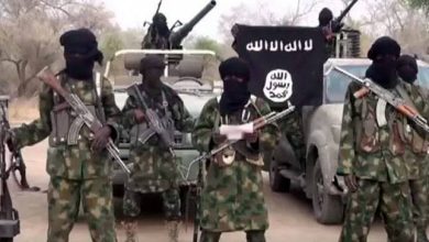 Photo of Boko Haram insurgents in deadly attack kill army Captain, soldier in Borno 