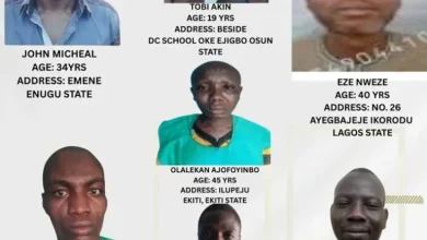 Photo of JAILBREAK: FG places N5 million bounty on fleeing inmates of Osun Prison