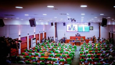 Photo of Constitution Review: Reps to consider 46 new states, 117 LG creation requests