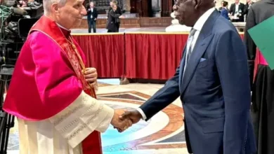 Photo of Tinubu’s meeting with Pope Leo XIV an insult to Christianity — Former SGF Babachir