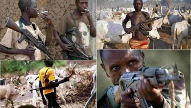Photo of Mass burial in Taraba as suspected Fulani herdsmen slaughter many