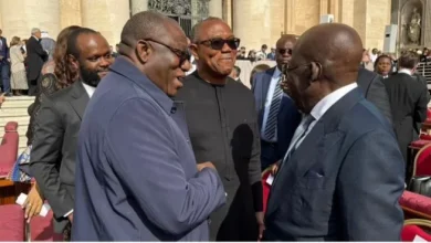Photo of Tinubu, Obi, Fayemi meet at Pope Leo XIV’s installation Mass in Rome