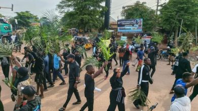 Photo of Benue Massacre: Family loses 23 members in one day