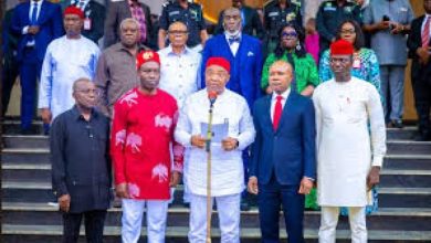 Photo of lgbos will hold you culpable if perpetrators of Benue massacre strike in Igboland — Ohanaeze tells South-East Govs 