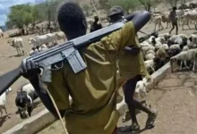 Photo of Plateau bloodshed: Six dead, many injured in fresh herdsmen attack