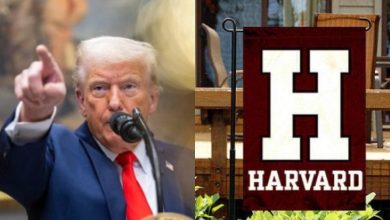 Photo of Court blocks Trump’s new ban on foreign students