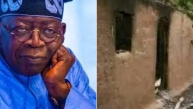 Photo of Insecurity: Sit up, democracy under threat, APC chieftain warns Tinubu 
