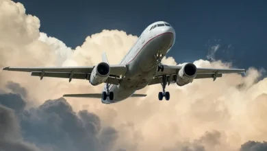 Photo of Man travels by air for free 120 times by posing as flight attendant