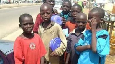 Photo of Number of out-of-school children on the rise in Kano – Study