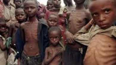 Photo of 1.3m Nigerians face starvation as aid cuts push WFP toward shutdown