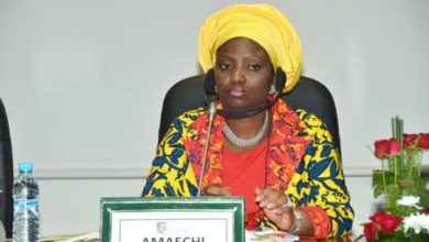 Photo of Wike’s claim absurd, I didn’t get N4bn monthly from NDDC — Amaechi’s wife