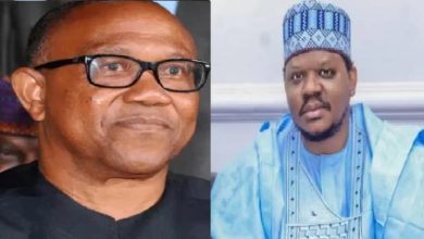 Photo of I’ll no longer attack, criticise Peter Obi — Adamu Garba
