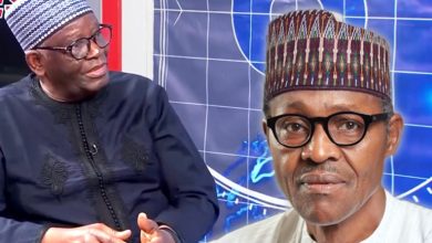 Photo of How cabal members smuggled memos to former President Buhari behind me, Former Chief of Staff Prof Gambari reveals 
