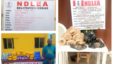 Photo of Chinese businessman, 80-year-old grandma arrested as NDLEA seizes ‘Colos’ In moimoi satchets