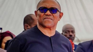 Photo of APC slams Peter Obi over criticism of FG’s national honour policy 