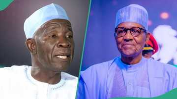 Photo of Buba Galadima reveals reason North drafted Buhari into politics
