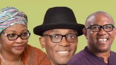 Photo of 2027: Labour Party approved Peter Obi’s coalition move, Acting National Chair, Nenadi Usman hits back at Abure