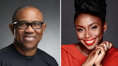 Photo of Obi wants to serve, not desperate like some politicians — Chimamanda Adichie