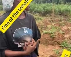 Photo of Suspected herdsmen implicated in shocking Anambra murder; Police Commissioner orders investigation