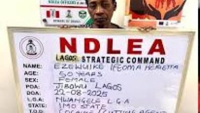Photo of NDLEA detains widow using fake pregnancy to traffic cocaine in Lagos