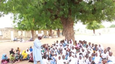 Photo of Pupils in Kano community forced to learn under trees as classrooms collapse