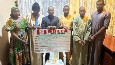 Photo of Drug kingpin, 5 others in NDLEA custody over arrest of 3 Nigerians in Saudi Arabia