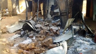 Photo of Decaying bodies from banditry killings fueling Cholera outbreak in Zamfara — Official