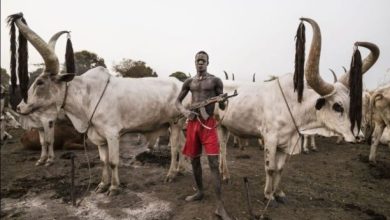 Photo of Bandits impose N15million levy on Katsina communities