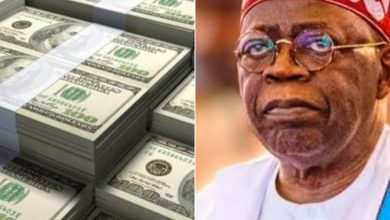 Photo of FG obtains fresh $25.35 million foreign loan to tackle Kaduna out-of-school crisis