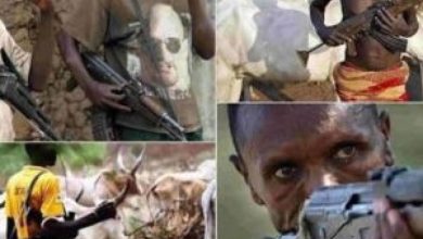 Photo of Suspected Fulani herdsmen in renewed onslaught, kill security operatives, others in daylight attack