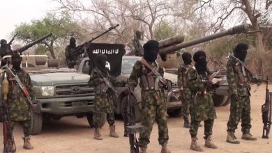 Photo of Boko Haram kills five farmers in Borno fresh attack